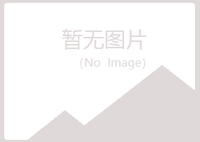 岗巴县傲晴化学有限公司